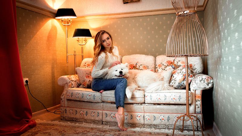 портрет, девушка, модель, собака, диван, постановка, торшер, свет Ксения фото превью