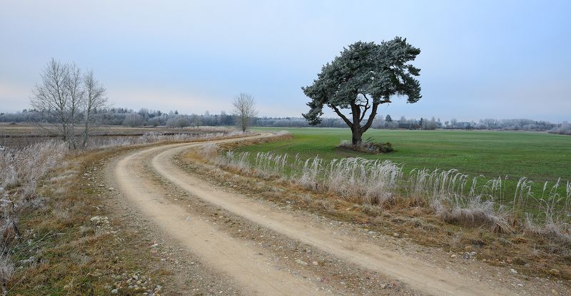 пейзаж море мороз рассвет *** фото превью