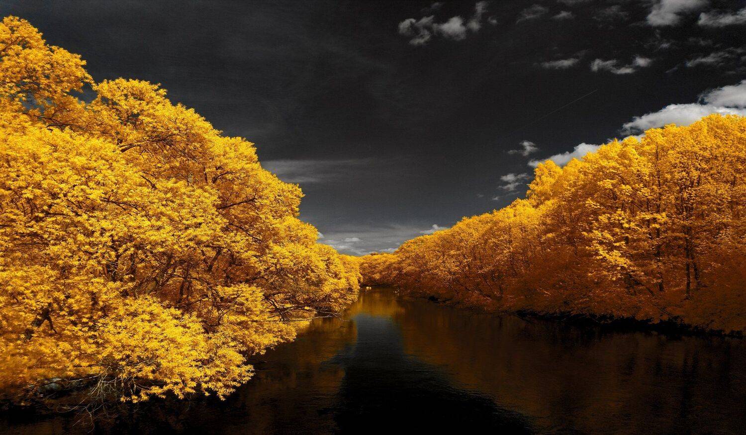 infrared,ик-фото,инфракрасное фото,инфракрасная фотография,пейзаж,природа,беларусь,весна, Sixten ( Сергей )