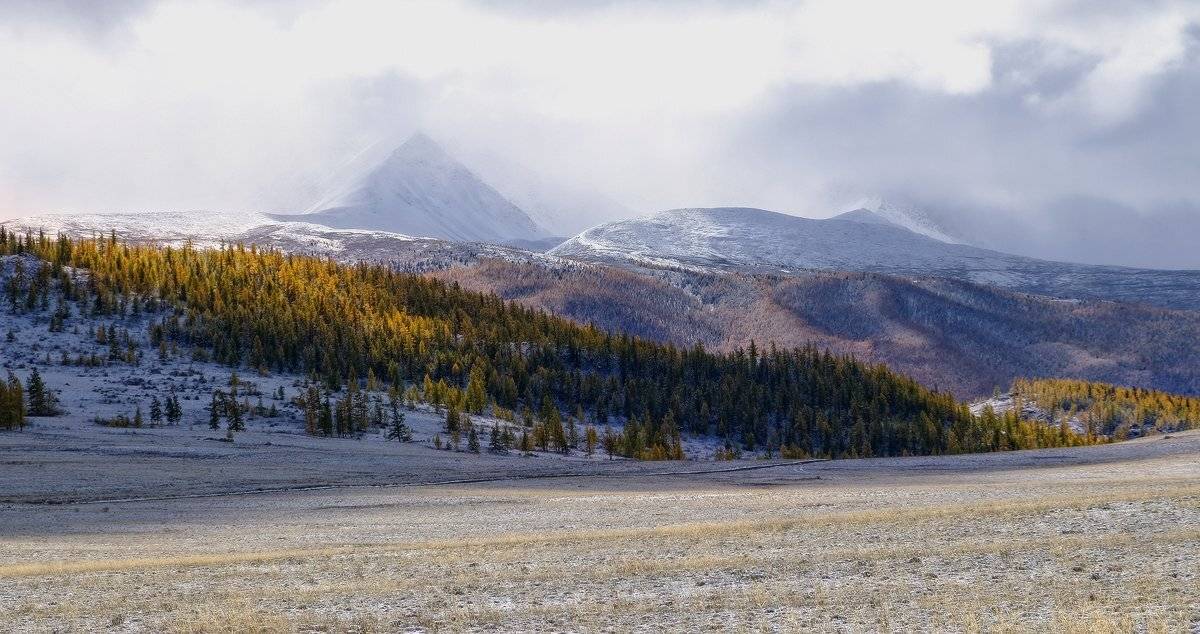 , Ольга Челдыкова