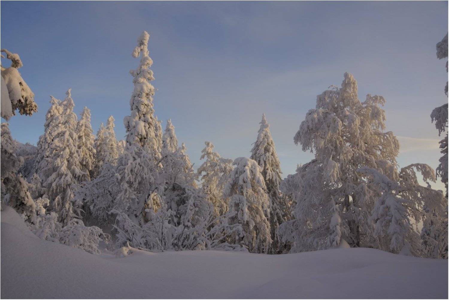 , Кондратьев Алексей