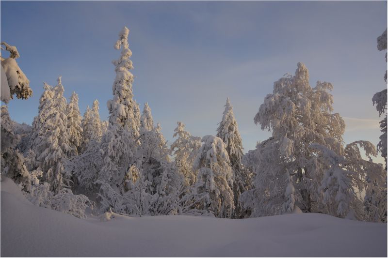 Снежная... фото превью