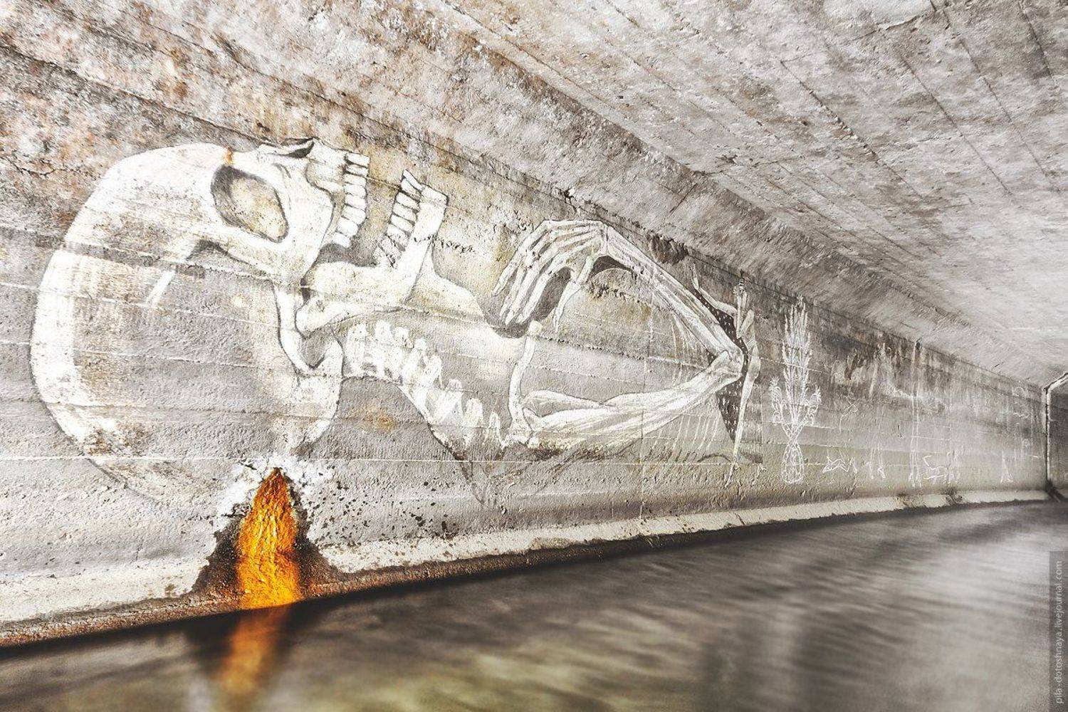 , Анна Аринова