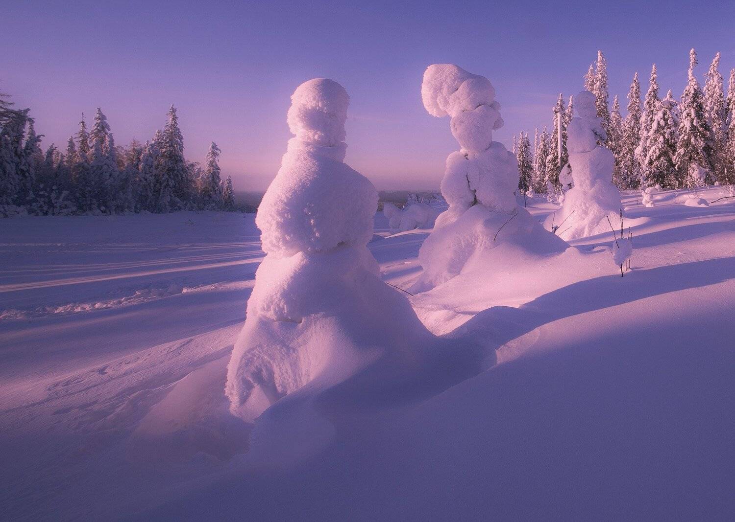 , Игорь Криницын