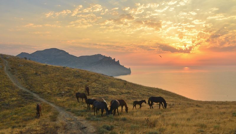 крым, кара-даг, сентябрь, рассвет Рассвет над Кара-Дагом фото превью