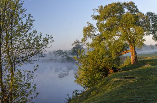Утро на реке