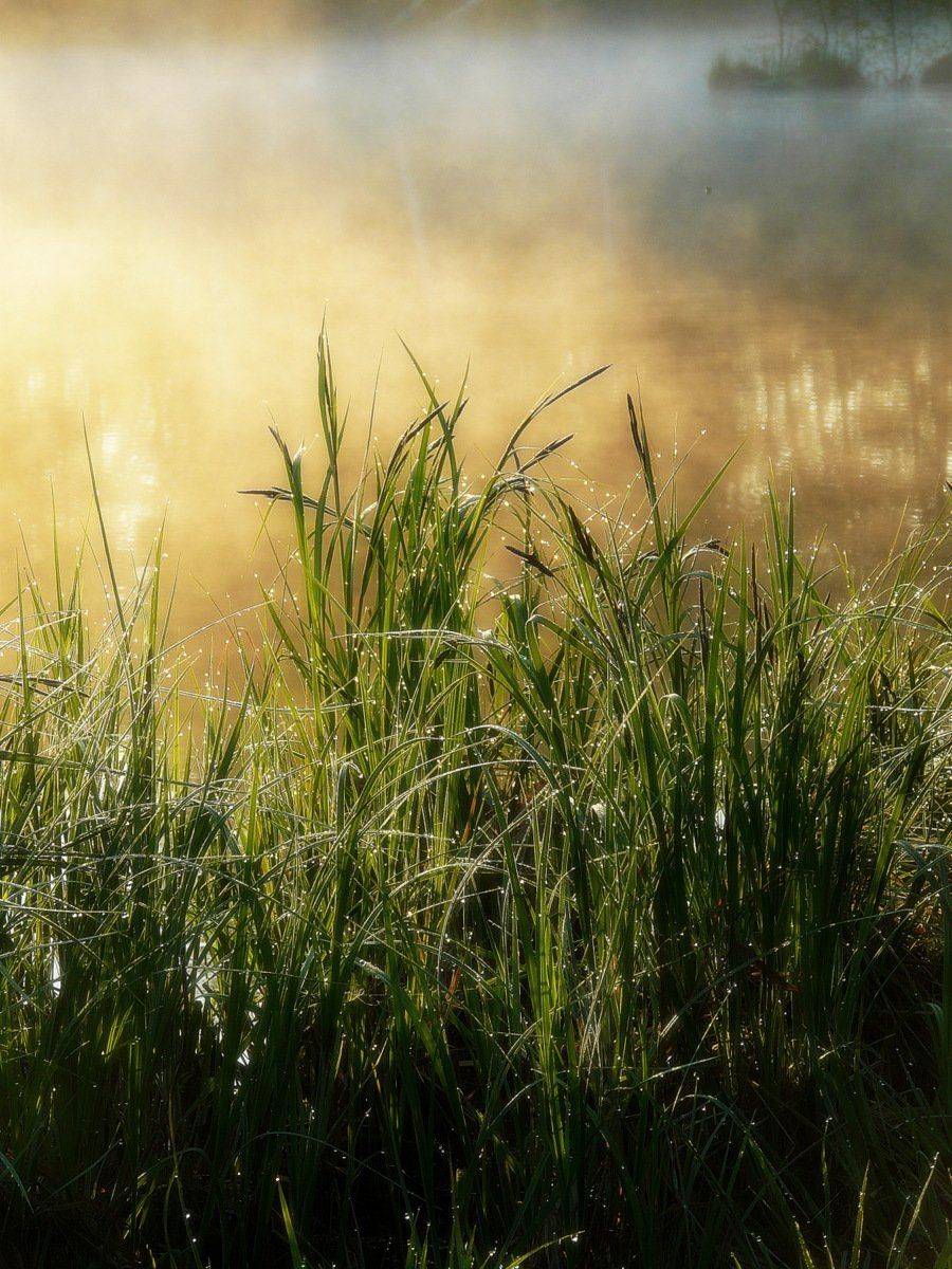 сергей алексеев, пейзаж, Сергей Алексеев