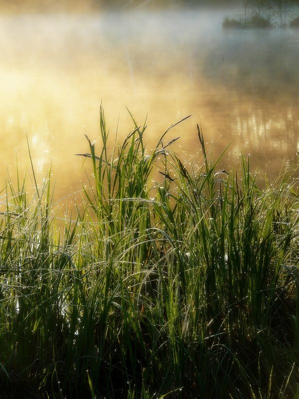 Холодное утро фото превью