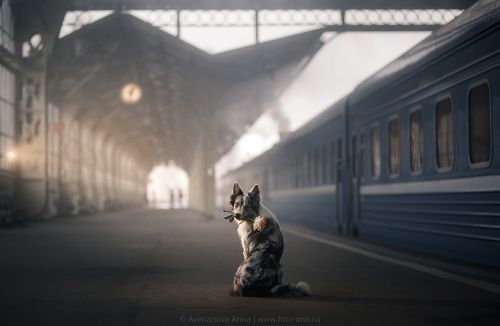 В ожидании встречи