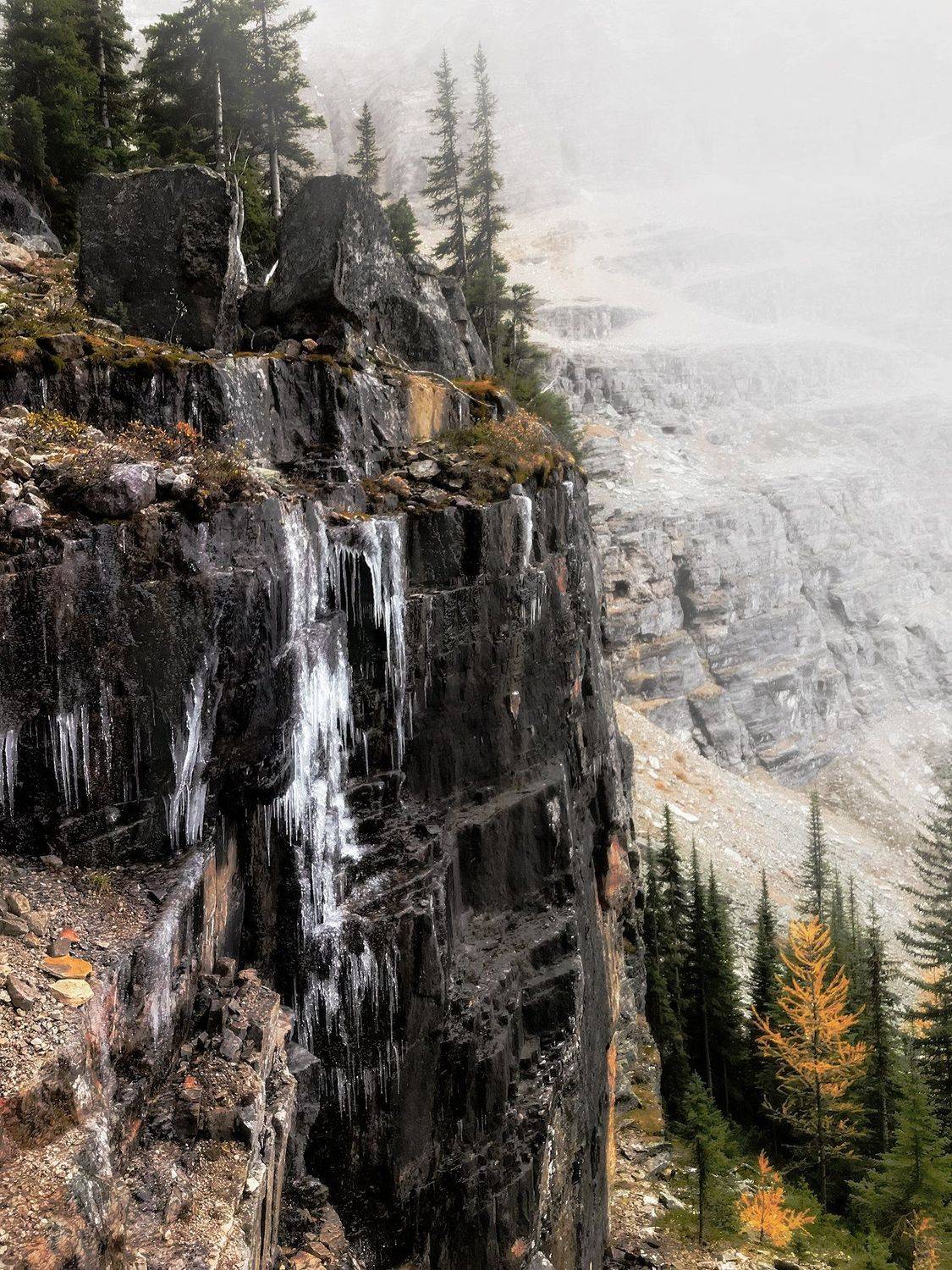 yoho, ohara, Evgeny Chertov