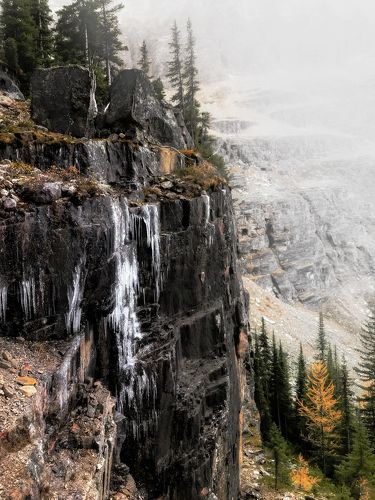 ПРЕДВЕСТНИКИ ЗИМЫ