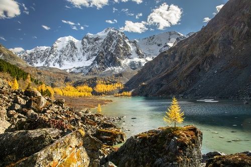 осени миг золотой