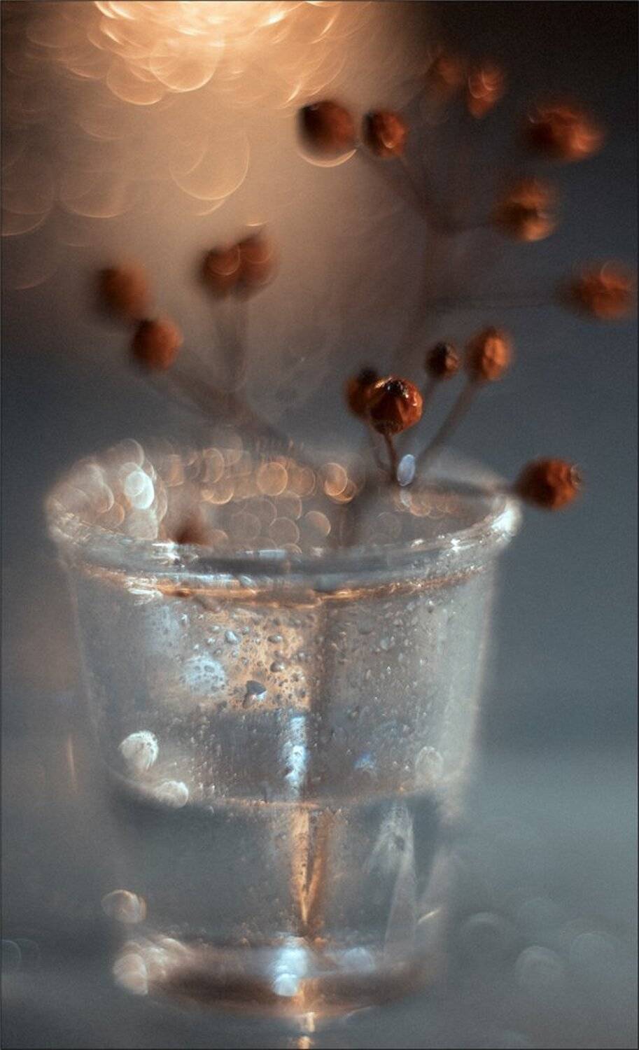 , Ариадна Белкина