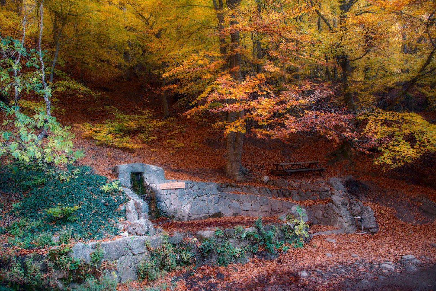 , Сергей Брагин