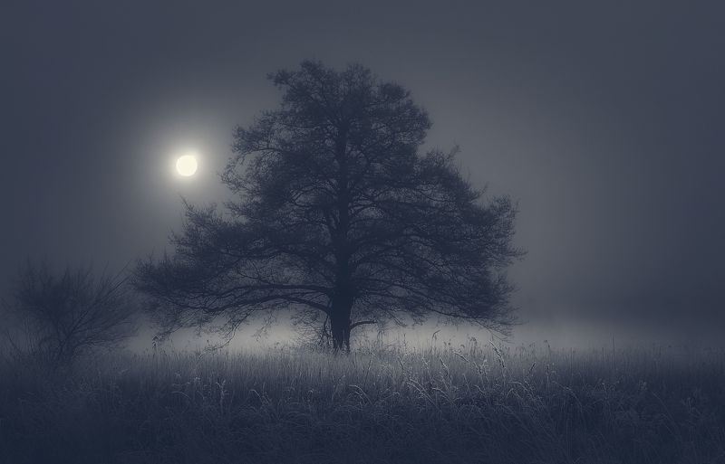 Silence фото превью