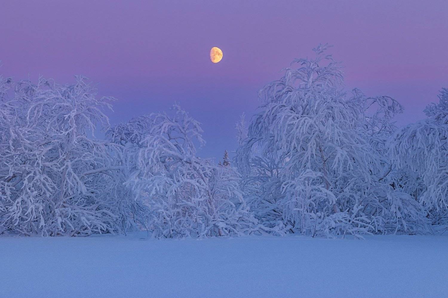 ямал , зима , природа, салехард , январь,  ямал ,север, Настя Братка