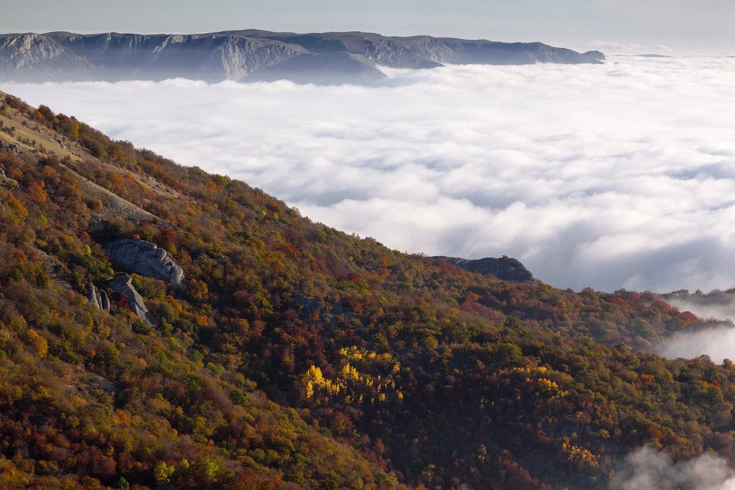 демерджи, цвет, крым, осень, Олег Болотников
