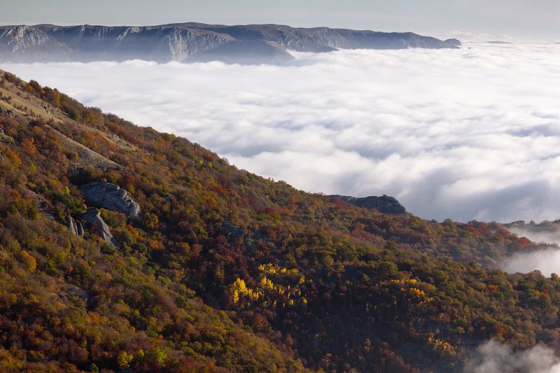 демерджи, цвет, крым, осень Титаны фото превью