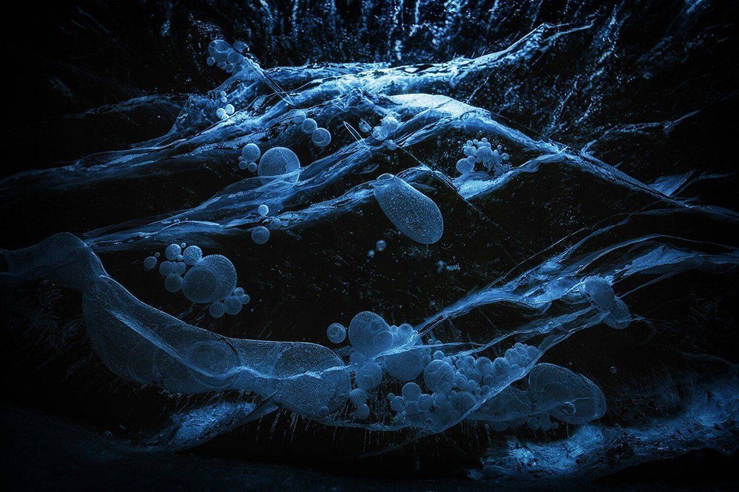 ice,frozen,bubbles,water,icy,winter,macro,close up,closeup,nature,natural,micro, Adrian Szatewicz