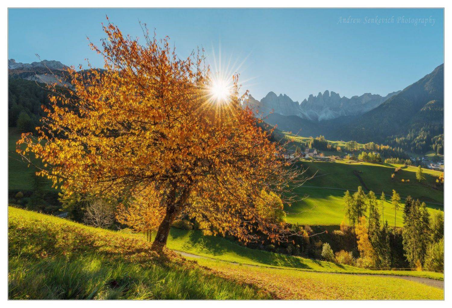 доломиты, италия, фототур, утро, осень, рассвет, санта маддалена, фунес, Андрей Сенкевич