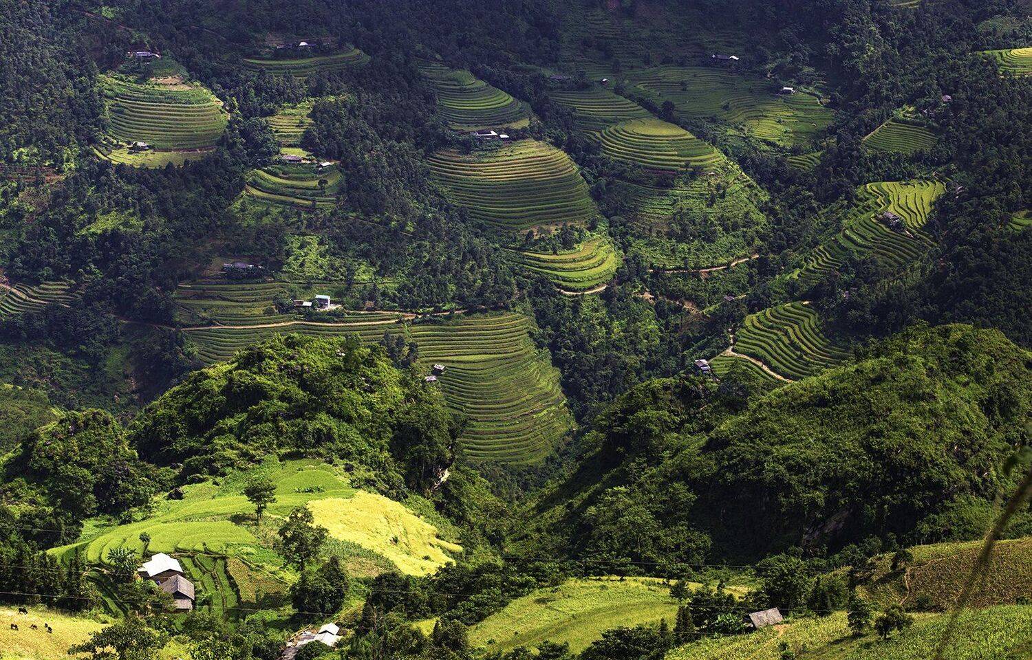 Green hills on the hill. Автор: vannguyenhop29@gmail.com , vannguyenhop29@gmail.com