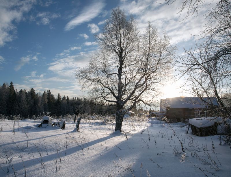 Настоящая зима. фото превью