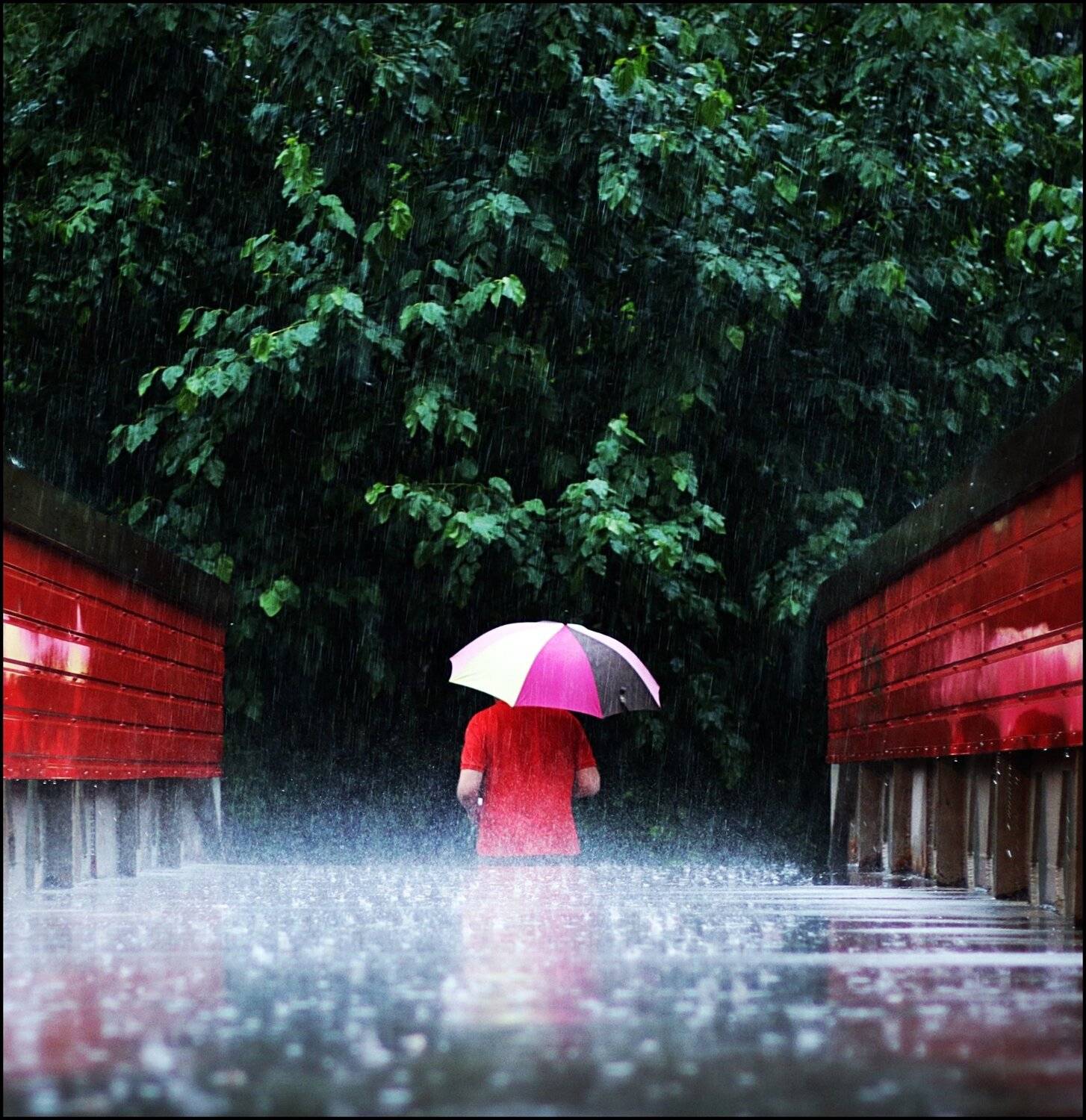 , Krzysztof Trojanowski