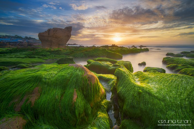 Sunrise Co Thach фото превью