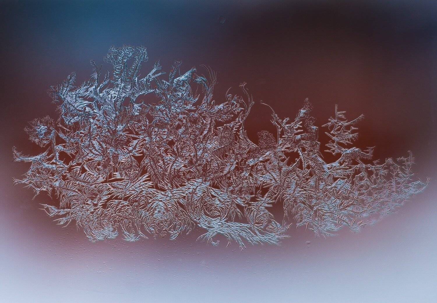 , Павел Сагайдак