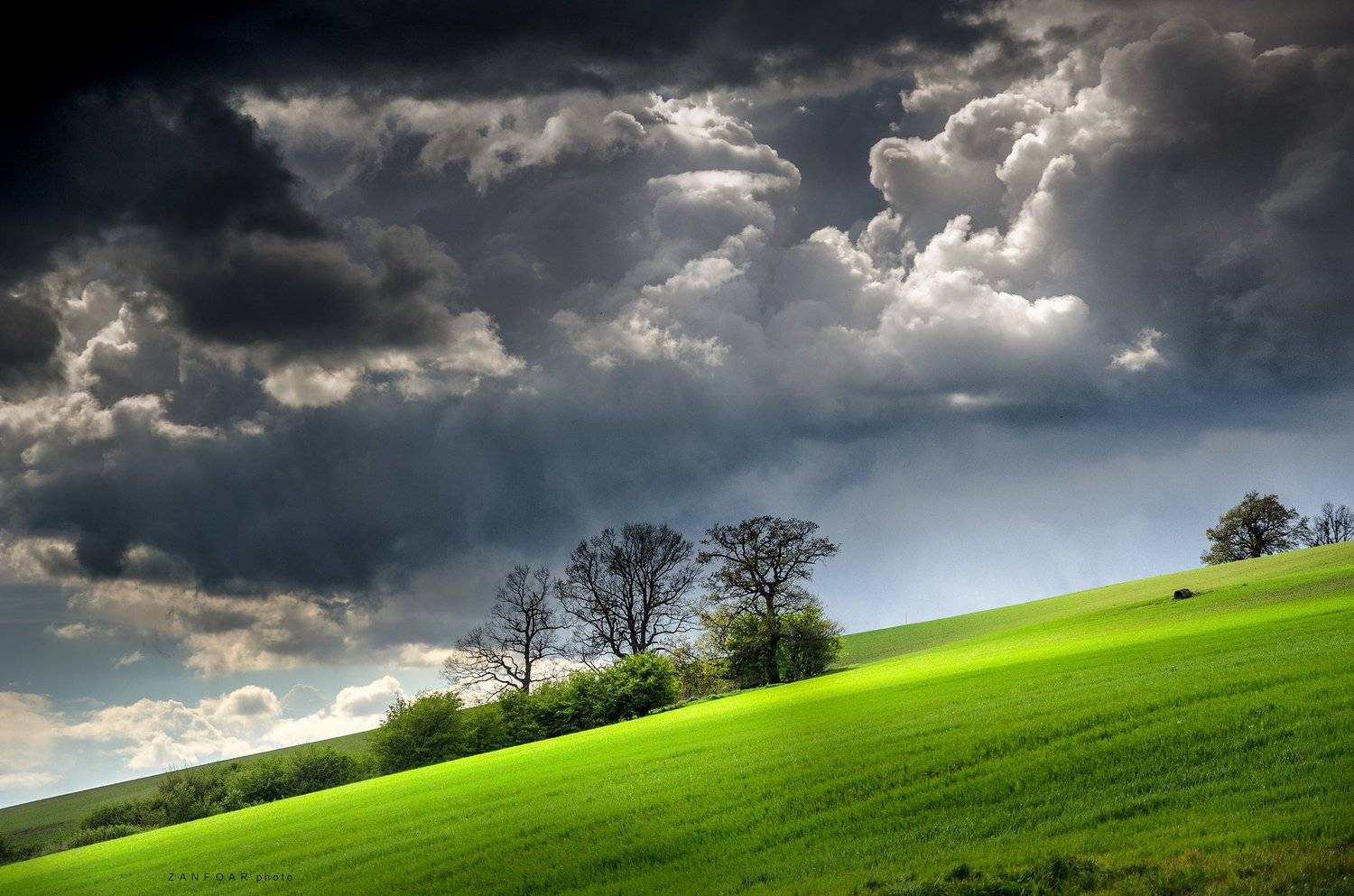 облака, пейзаж, поле, зеленое зерно, трава, деревья, небо, zanfoar, чешская республика, zanfoar,czech republic,bohemia,nikon d7000,чехия, Zanfoar