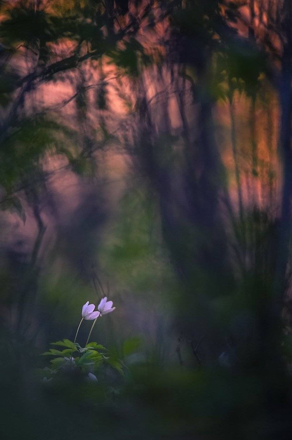 , Вячеслав Мищенко