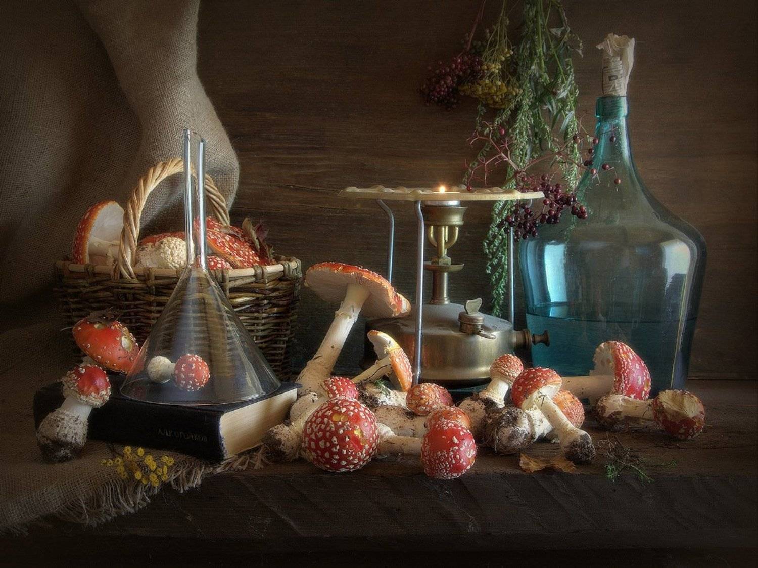 сергей алексеев, натюрморт, Сергей Алексеев