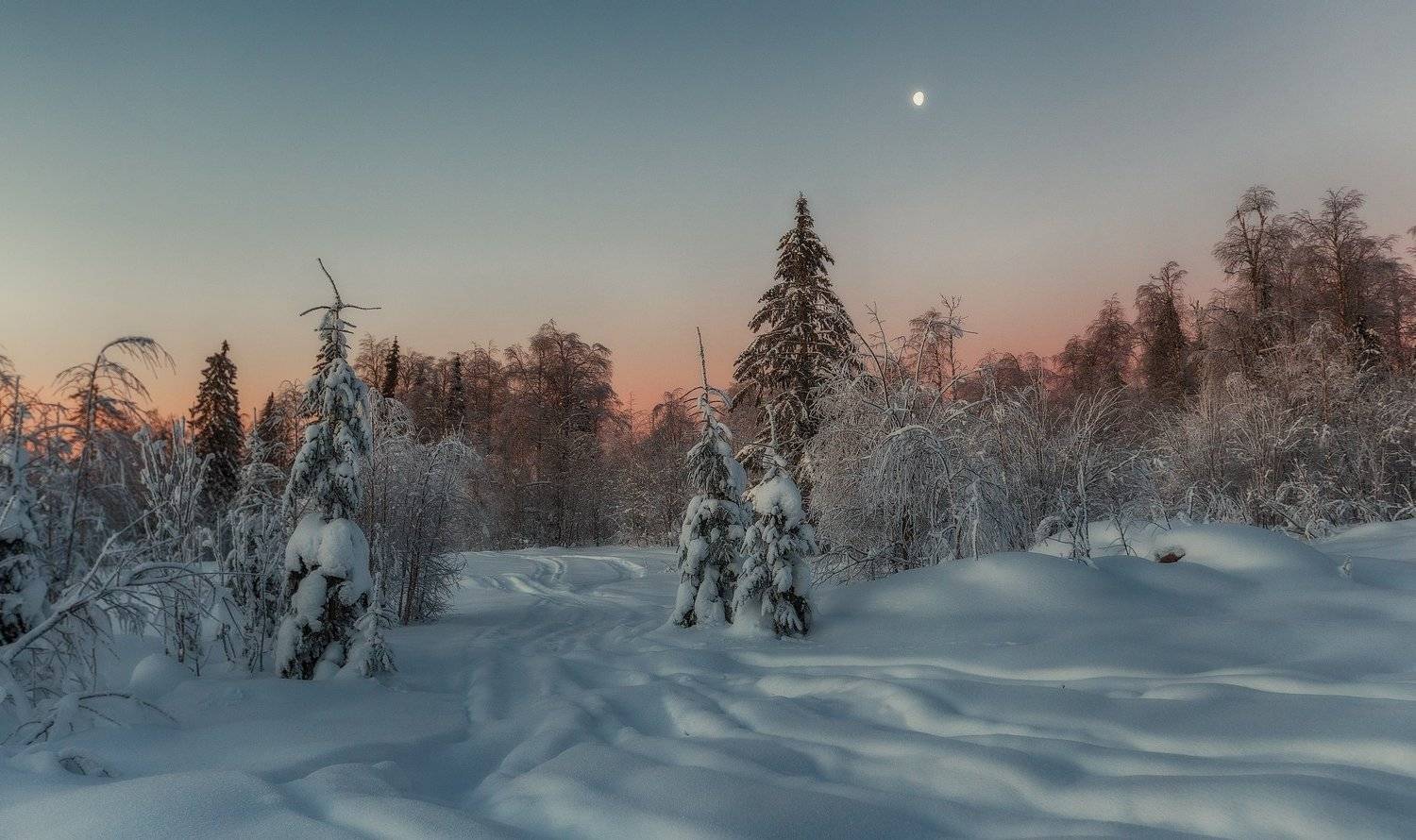 урал, Владимир Липецких
