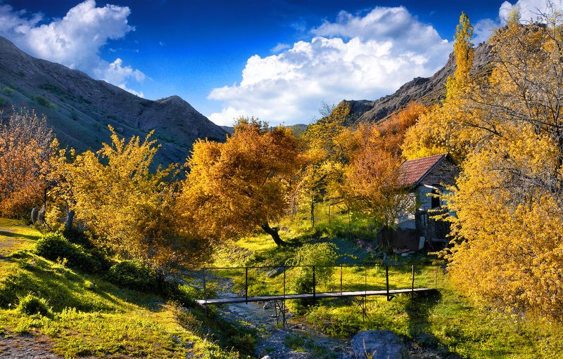 Зеленогорье фото превью