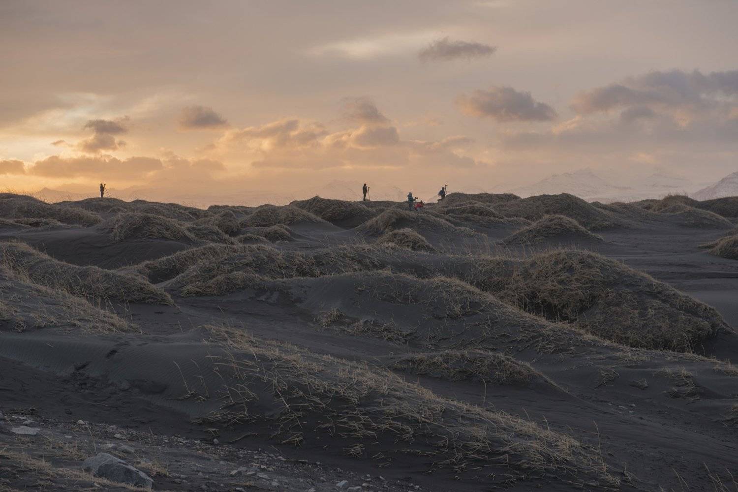 вестрахорн, исландия, Ирина