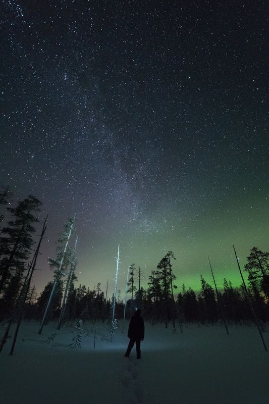 печора,ночь,звезды Общение фото превью