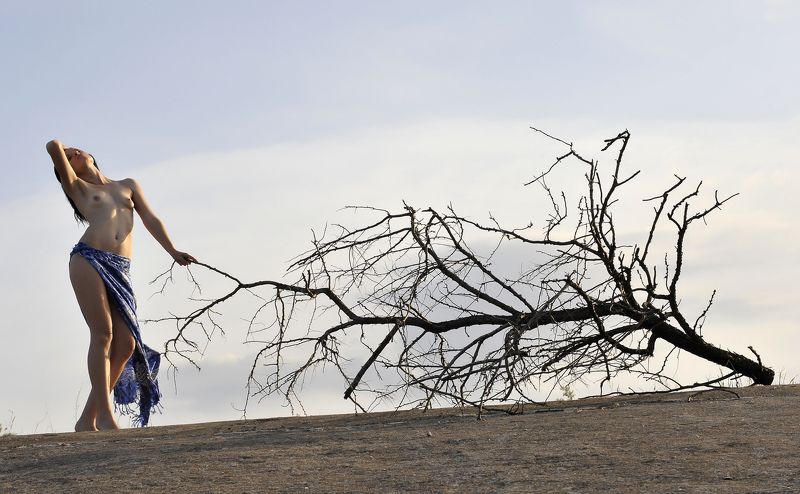 Ню МЕЧТЫ 7 фото превью
