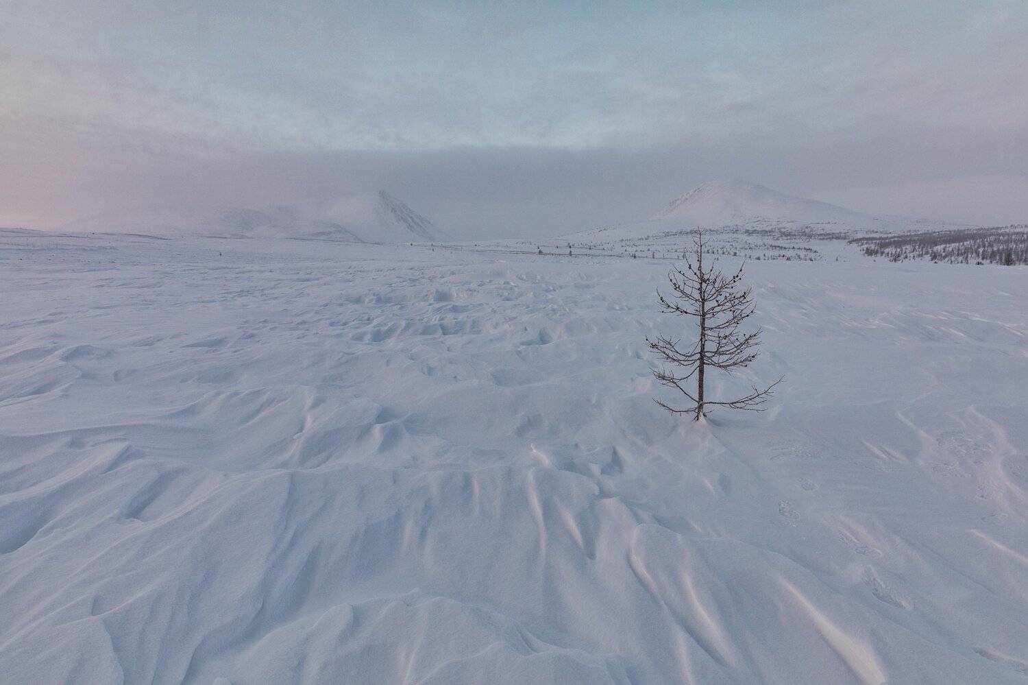 , Евгений Кужилев