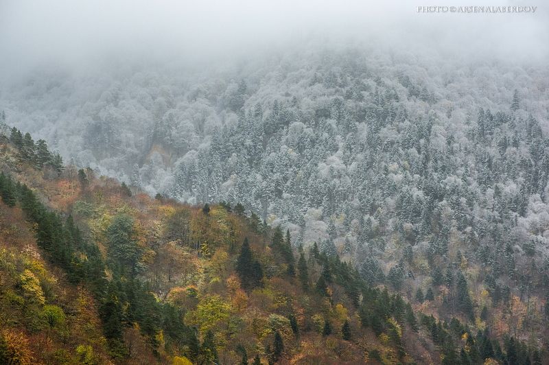 СРАЖЕНИЕ фото превью