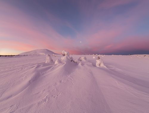 Рассвет на Севере