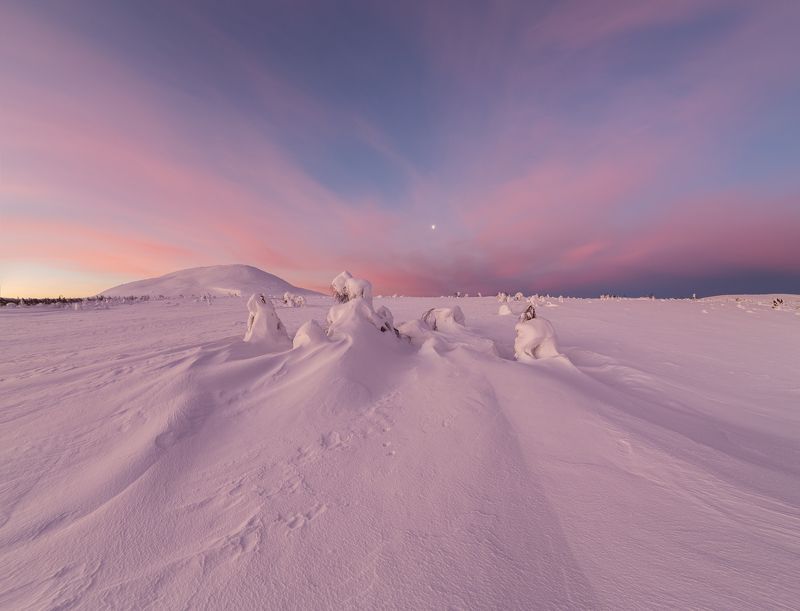 зима, горы, урал, деревья, снег, фактура, небо, облака, луна, рассвет, заря, антон селезнев Рассвет на Севере фото превью