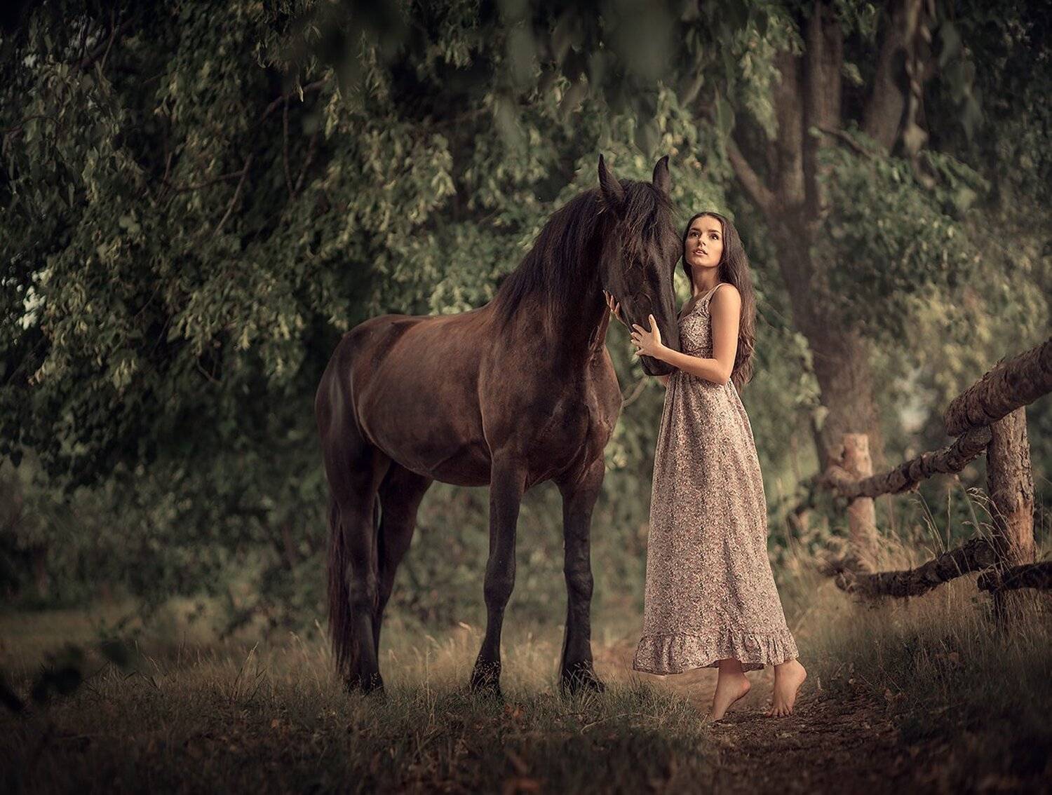 , Дарья Степанова