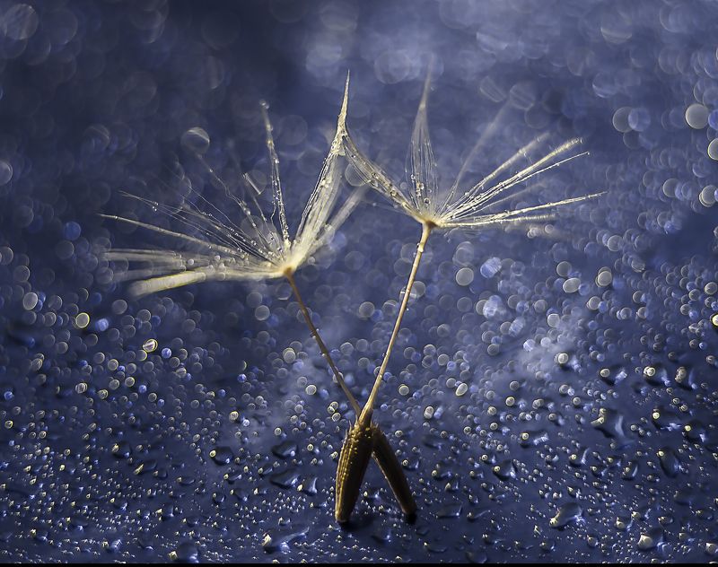 Балет фото превью