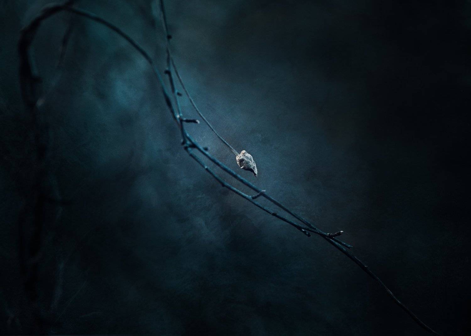 , Kristina Zvinakeviciute