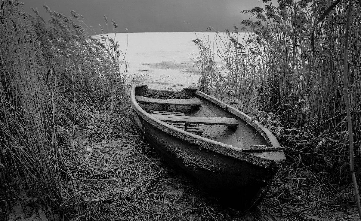 , Комеров Роман