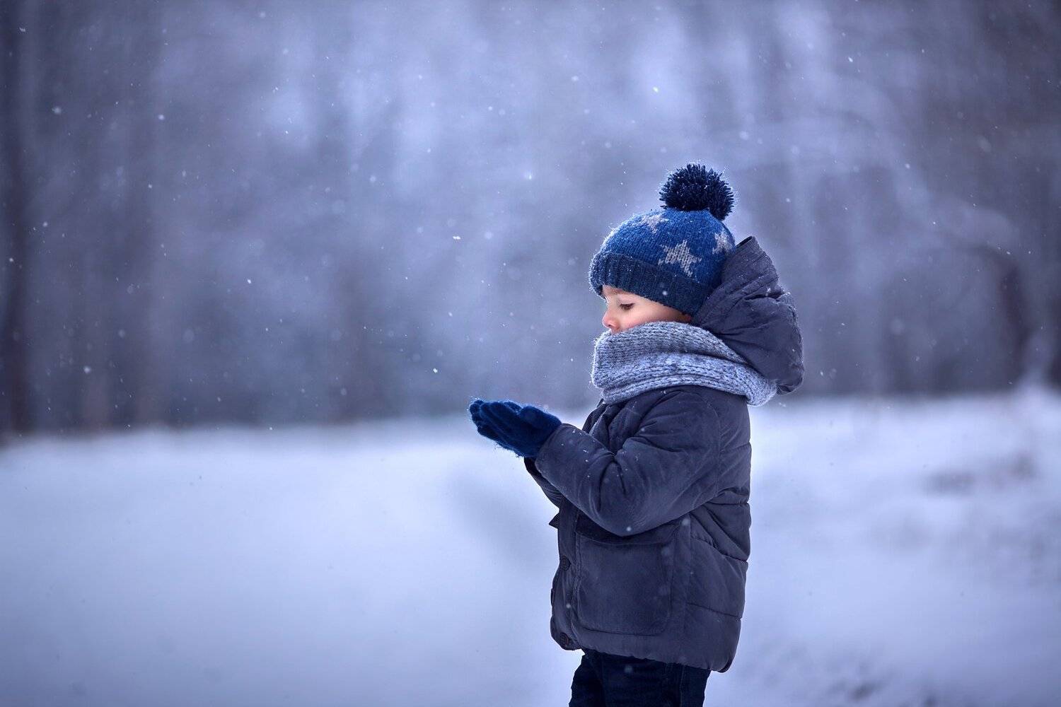 , Елена Силина