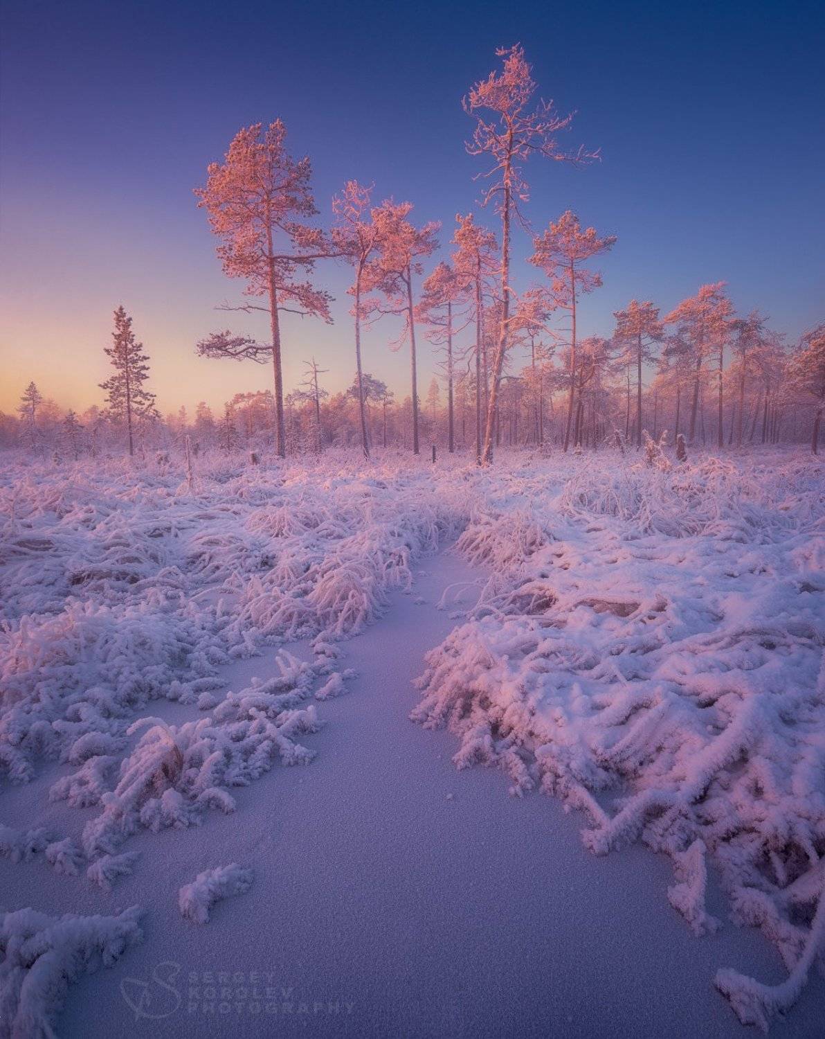 , Сергей Королев