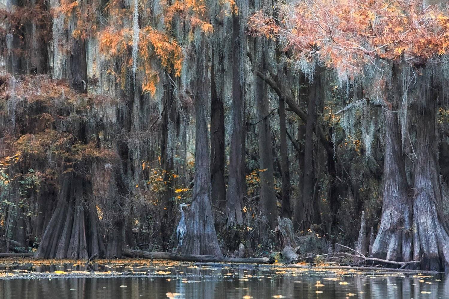 , Маргарита Чернилова