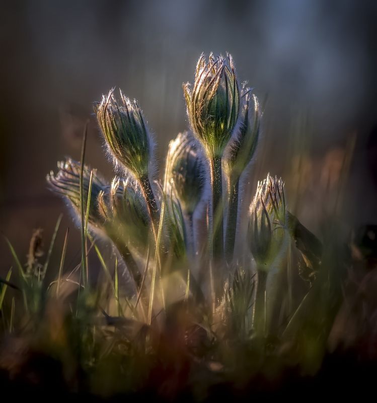 Будет апрель фото превью