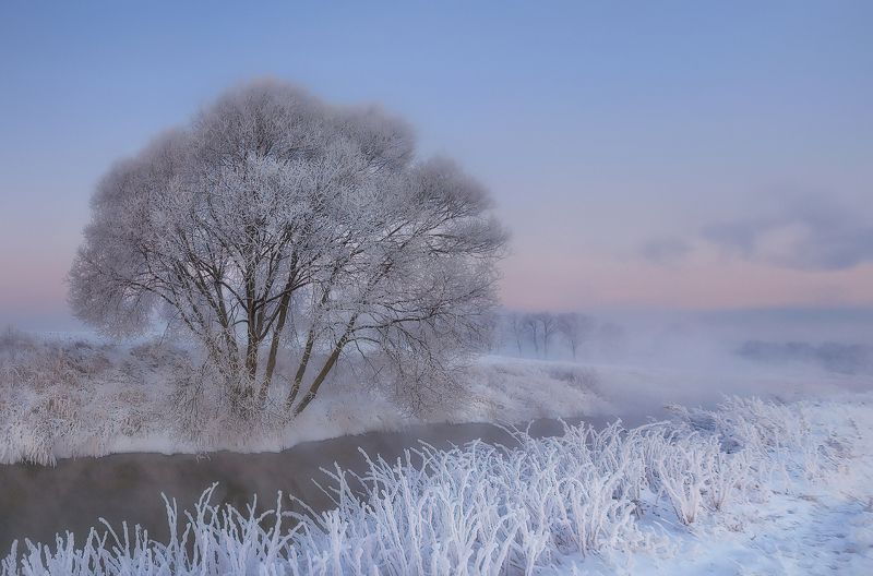 питер, пушкин, зима, пейзаж, царскоесело, царское, landscape, tsarskoyeselo Салют, зима! фото превью